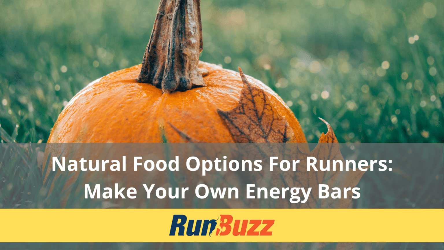 Natural Food Recipe for Runners Energy Bars
